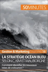 La stratégie Océan bleu selon C. Kim et Mauborgne_cover