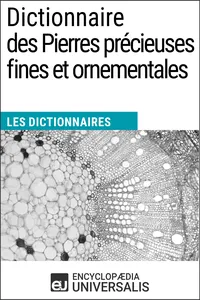 Dictionnaire des Pierres précieuses fines et ornementales_cover