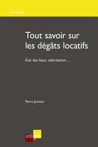 Tout savoir sur les dégâts locatifs_cover