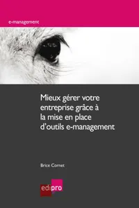 Mieux gérer votre entreprise grâce à la mise en place d'outils e-management_cover