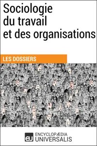 Sociologie du travail et des organisations_cover