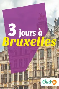 3 jours à Bruxelles_cover