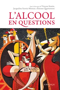 L'alcool en questions_cover