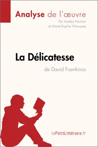 La Délicatesse de David Foenkinos_cover