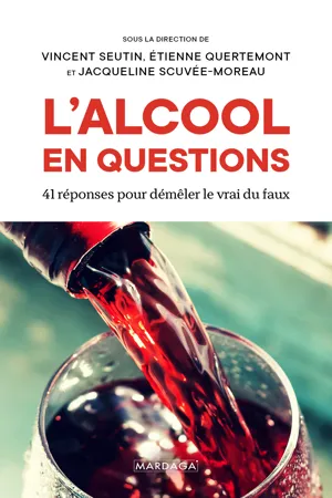 L'alcool en questions