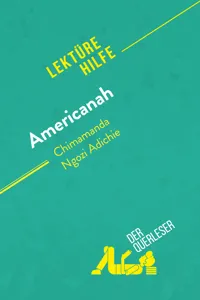 Americanah von Chimamanda Ngozi Adichie_cover