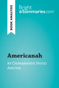 Americanah by Chimamanda Ngozi Adichie_cover