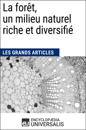 La forêt, un milieu naturel riche et diversifié