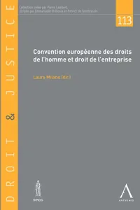 Convention européenne des droits de l'homme et droit de l'entreprise_cover