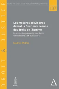 Les mesures provisoires devant la Cour européenne des droits de l'homme_cover