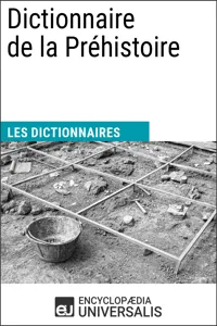 Dictionnaire de la Préhistoire_cover