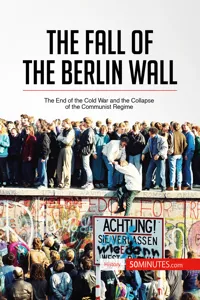 The Fall of the Berlin Wall_cover