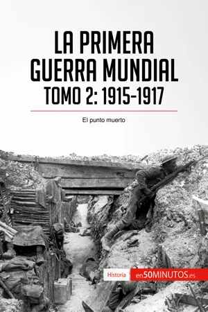 La Primera Guerra Mundial. Tomo 2