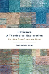 Patience—A Theological Exploration_cover