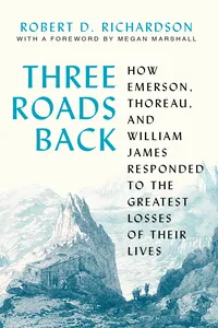 Three Roads Back_cover