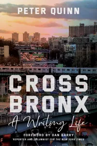 Cross Bronx_cover