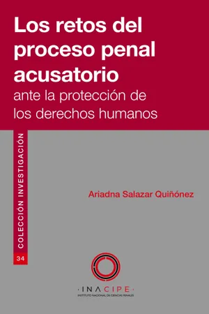 Los retos del proceso penal acusatorio ante la protección de los derechos humanos