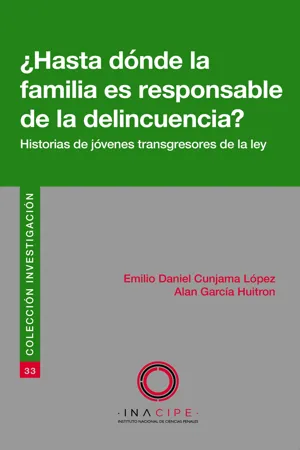 ¿Hasta dónde la familia es responsable de la delincuencia?