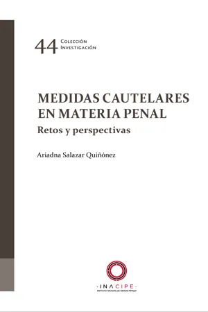 Medidas cautelares en materia penal