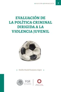 Evaluación de la política criminal dirigida a la violencia juvenil_cover