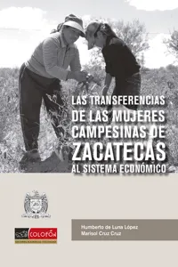 Las transferencias de las mujeres campesinas de Zacatecas al sistema económico_cover