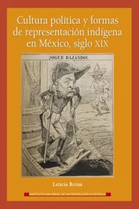 Cultura política y formas de representación indígena en México, siglo XIX_cover