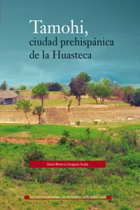 Tamohi, ciudad prehispánica de la Huasteca_cover