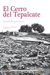 El cerro del Tepalcate_cover