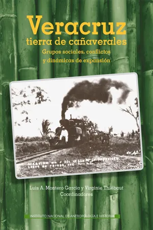 Veracruz, tierra de cañaverales. Grupos sociales, conflictos y dinámicas de expansión