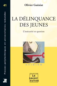 La délinquance des jeunes_cover