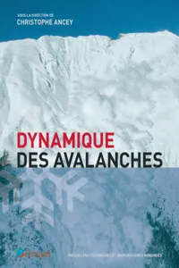 Dynamique des avalanches_cover