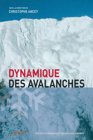 Dynamique des avalanches