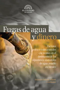 Fugas de agua y dinero_cover