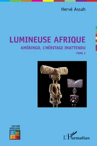 Lumineuse Afrique_cover