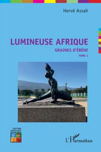 Lumineuse Afrique_cover