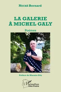 La galerie à Michel Galy_cover