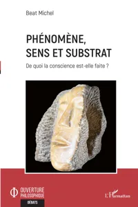 Phénomène, sens et substrat_cover