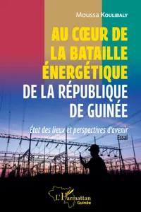 Au coeur de la bataille énergétique de la République de Guinée_cover