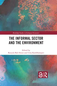The Informal Sector and the Environment_cover