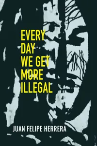 Every Day We Get More Illegal_cover