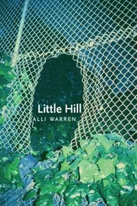 Little Hill_cover