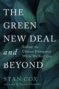 The Green New Deal and Beyond_cover