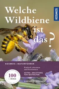 Welche Wildbiene ist das?_cover