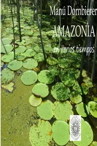 Amazonia en varios tiempos._cover