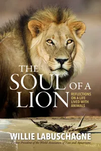 The Soul of a Lion_cover