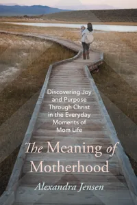 The Meaning of Motherhood_cover