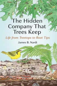 The Hidden Company That Trees Keep_cover