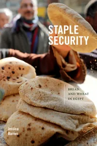 Staple Security_cover