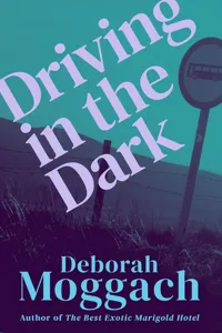 Driving in the Dark_cover