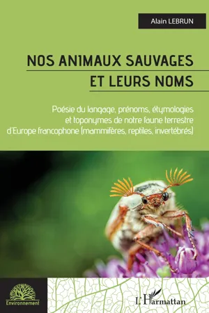 Nos animaux sauvages et leurs noms